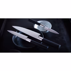 kai Wasabi Black Acier inoxydable 1 pièce(s) Couteau Yanagiba