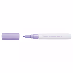Pilot Pintor