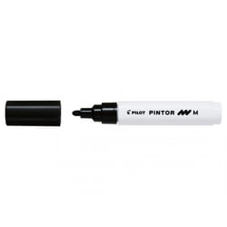 Pilot Pintor Noir