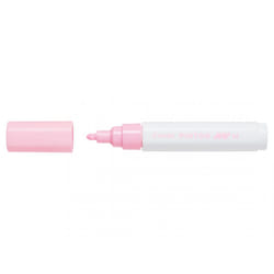 Pilot Pintor Rose
