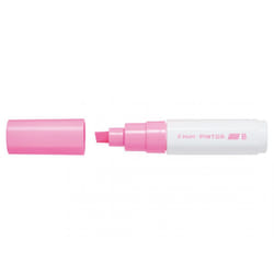 Pilot Pintor Rose