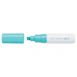 Pilot Pintor Vert