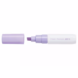 Pilot Pintor, Violet, 8 mm, 8 mm