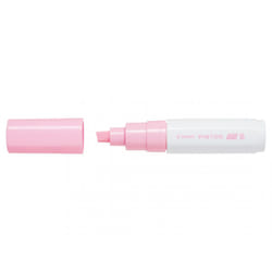 Pilot Pintor Rose