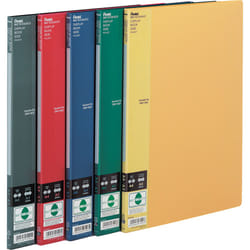 Pentel ALBUM OFERTOWY SIDE protège-documents de présentation 20 pochettes A4