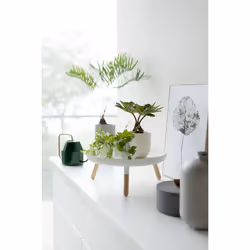 Yamazaki 5564 Rond Blanc, Bois
