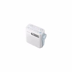 Sony ICF-S80