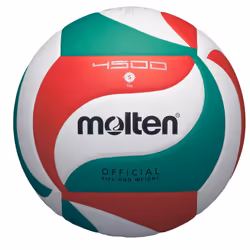 Ballon de compétition Molten V5M4500
