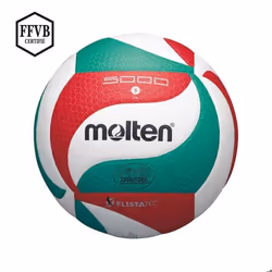 Ballon de compétition Molten V5M5000 LNV
