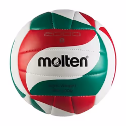 Ballon Molten volleyball