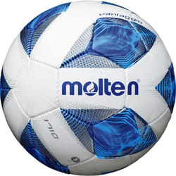 Ballon Molten Entrainement