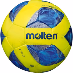 Ballon Molten Entrainement