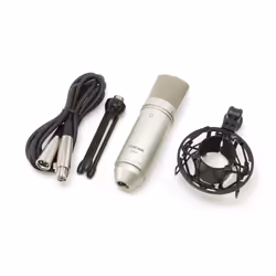 Tascam TM-80 microphone Or Microphone de studio