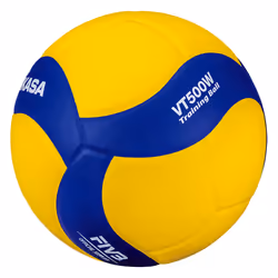 MIKASA VT500W volleyball Intérieure Multicolore