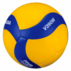 MIKASA V390W volleyball Intérieure Multicolore