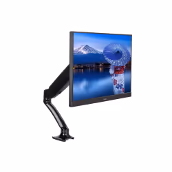 iiyama DS3001C-B1