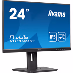 iiyama ProLite XUB2491H-B1 écran plat de PC 23.8" Full HD LED Noir