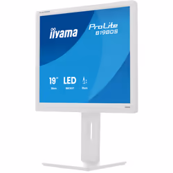 iiyama ProLite B1980S-W1 écran plat de PC 19" SVGA LED Blanc - Vue supplémentaire 8