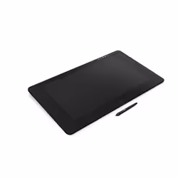 Wacom Cintiq Pro 24 tablette graphique Noir 5080 lpi 522 x 294 mm USB