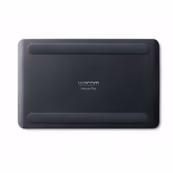 Wacom Intuos Pro (S) tablette graphique Noir 5080 lpi 160 x 100 mm USB/Bluetooth - Vue supplémentaire 5