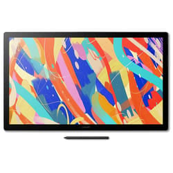 Wacom Cintiq 24 tablette graphique Noir 5080 lpi 527 x 296 mm USB