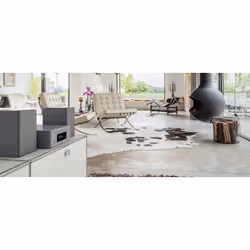 Denon CEOL N10 130 W Gris