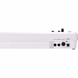 Roland A-49 clavier MIDI 49 touche(s) USB Blanc