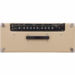 Roland Blues Cube Artist