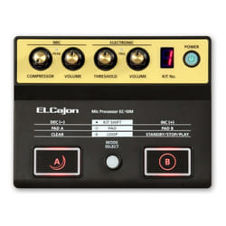 Roland EC-10M processeur de signal numérique (DSP)
