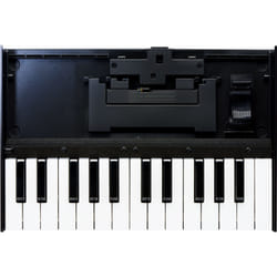 Roland K-25M clavier MIDI 25 touche(s) Noir, Blanc