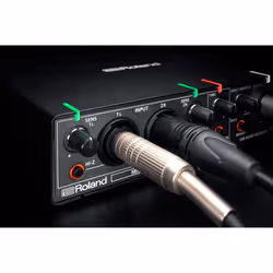 Roland Rubix22