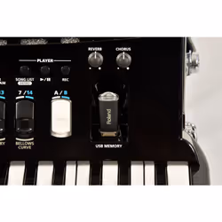 Roland FR-4x Accordéons à touches piano 120 boutons 37 touche(s) 22 W Noir - Vue supplémentaire 5