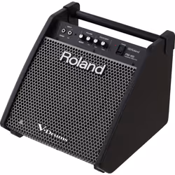 Roland PM-100 moniteur audio Noir
