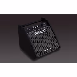 Roland PM-100 moniteur audio Noir - Vue supplémentaire 4