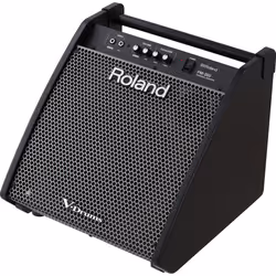 Roland PM-200 haut-parleur Noir Avec fil 180 W