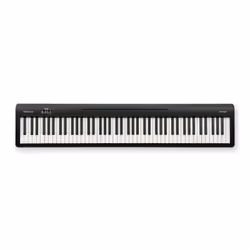 Roland FP-10