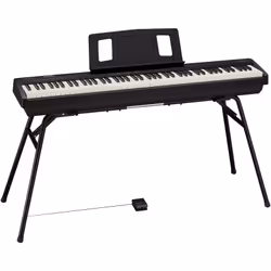 Roland FP-10 piano numérique 88 touche(s) Noir - Vue supplémentaire 6