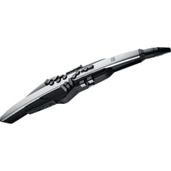 Roland AE-30 flute Noir, Blanc