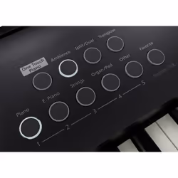 Roland FP-E50 piano numérique 88 touche(s) Noir - Vue supplémentaire 17
