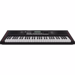 Roland E-X10 clavier MIDI 61 touche(s) USB Noir