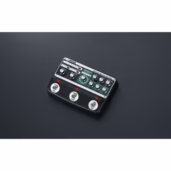 BOSS RE-202 Space Echo Pédale d'expression Noir - Vue supplémentaire 4