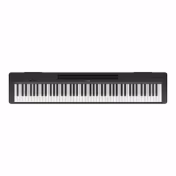 Yamaha P-145B