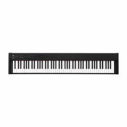 Korg D1