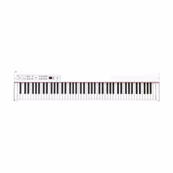 Korg D1