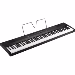 Korg Liano piano numérique 88 touche(s) Noir
