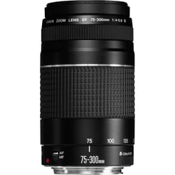 Canon Objectif EF 75-300mm f/4-5.6 III