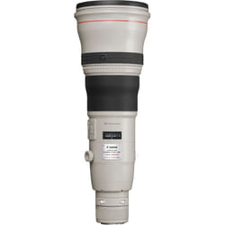 Canon EF 800mm f_5.6 L IS USM