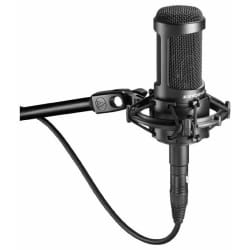 Audio-Technica AT2050 microphone