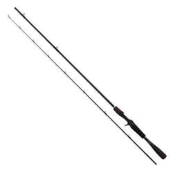 Canne casting Shimano Zodias ex-f 4-12g