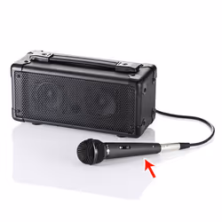 SANWA SUPPLY MM-SPHM1 microphone Noir Microphone de scène/direct
